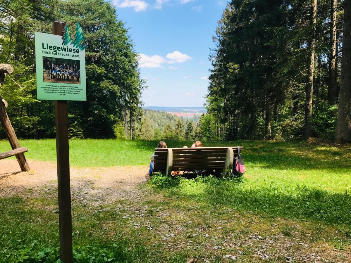 Haus Jenni Im Schwarzwald, 3,5-Zimmer, Grosse Terrasse Freudenstadt Esterno foto