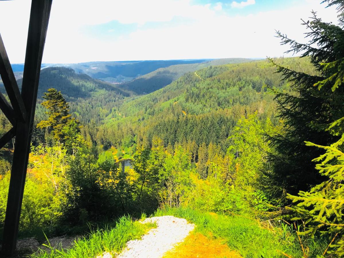 Haus Jenni Im Schwarzwald, 3,5-Zimmer, Grosse Terrasse Freudenstadt Esterno foto