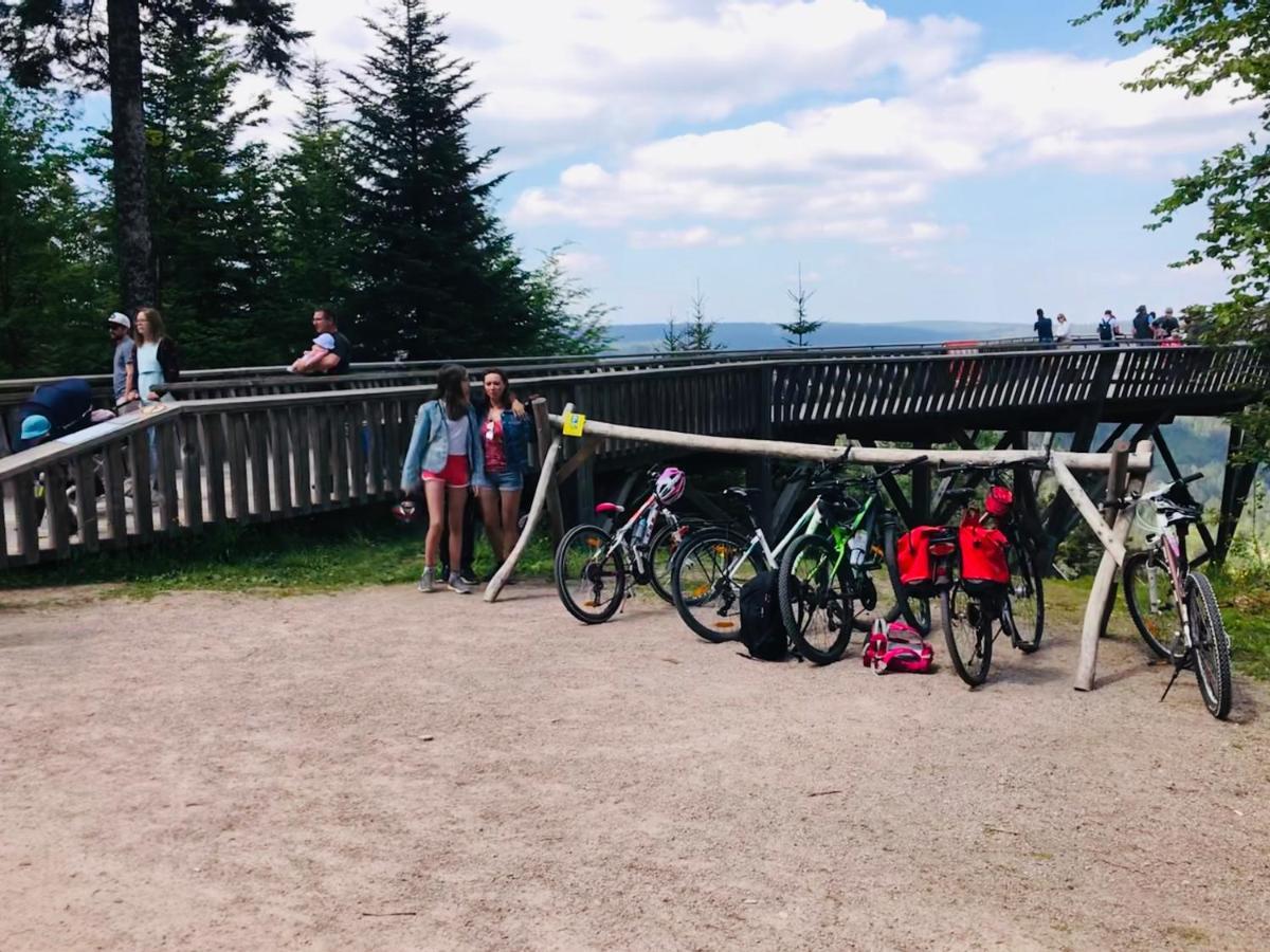 Haus Jenni Im Schwarzwald, 3,5-Zimmer, Grosse Terrasse Freudenstadt Esterno foto