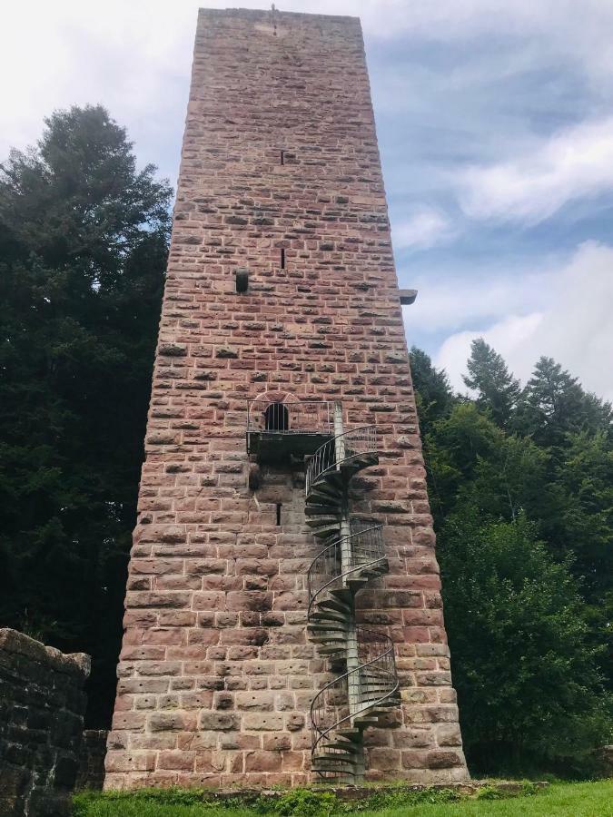 Haus Jenni Im Schwarzwald, 3,5-Zimmer, Grosse Terrasse Freudenstadt Esterno foto